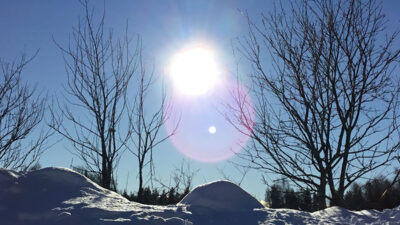Solen skiner på träd och snö.