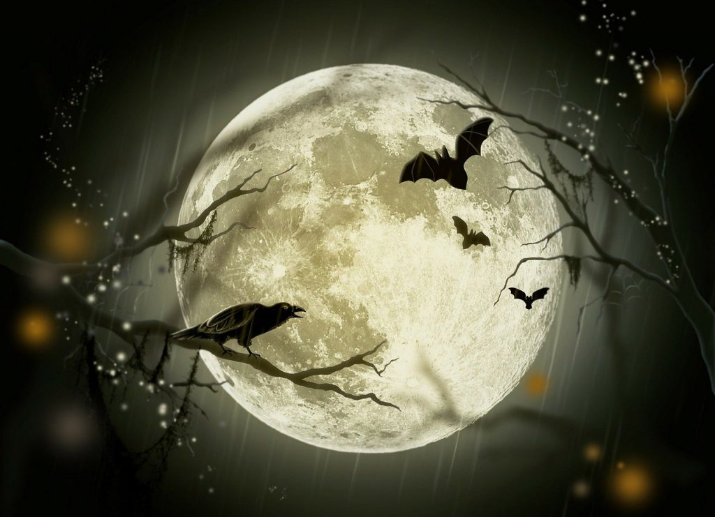 Halloween-enkät