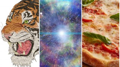 Collage på en tiger, en pizza och universum