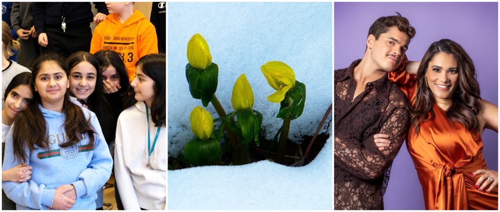 Kollage på veckans nyheter